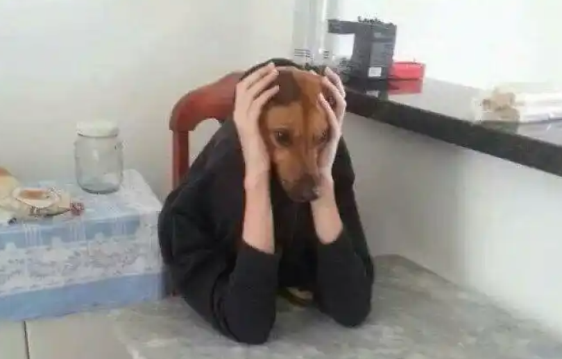 哦，上帝！