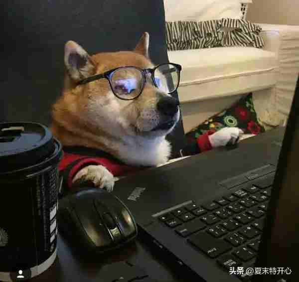 把你笑哭的搞笑小笑话
