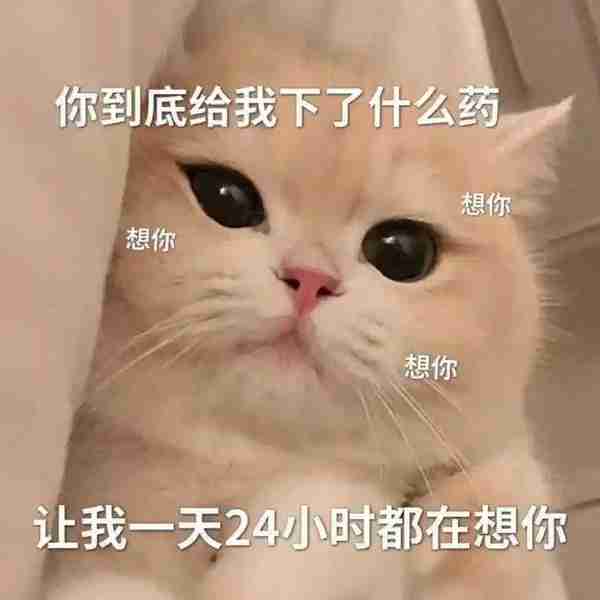 笑话十条三岁的女儿，早上因为赖床，被我骂了两句