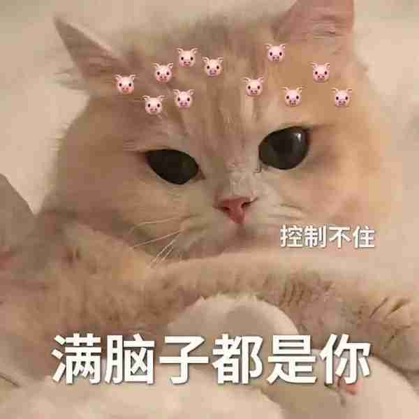 笑话十条三岁的女儿，早上因为赖床，被我骂了两句