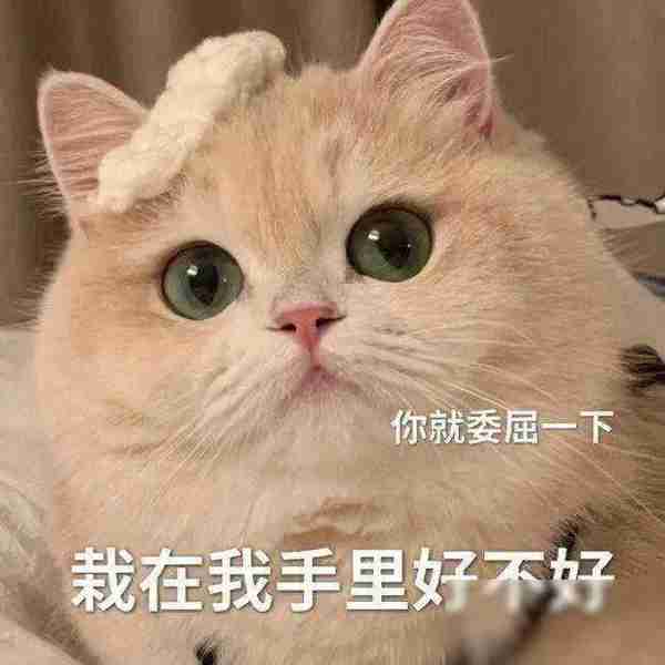 笑话十条三岁的女儿，早上因为赖床，被我骂了两句