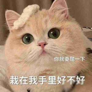 笑话十条三岁的女儿，早上因为赖床，被我骂了两句