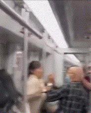 广州地铁再现奇闻,大爷与鹦鹉“空中追逐”引围观!