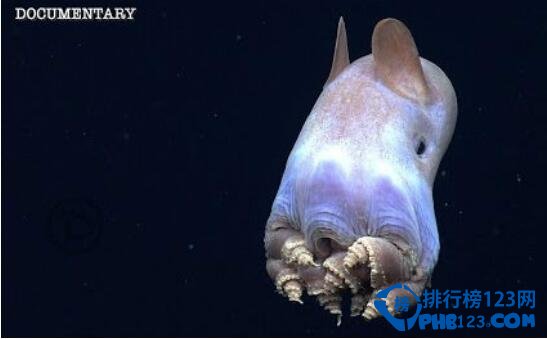 世界上最深的海沟马里亚纳海沟11,033米深