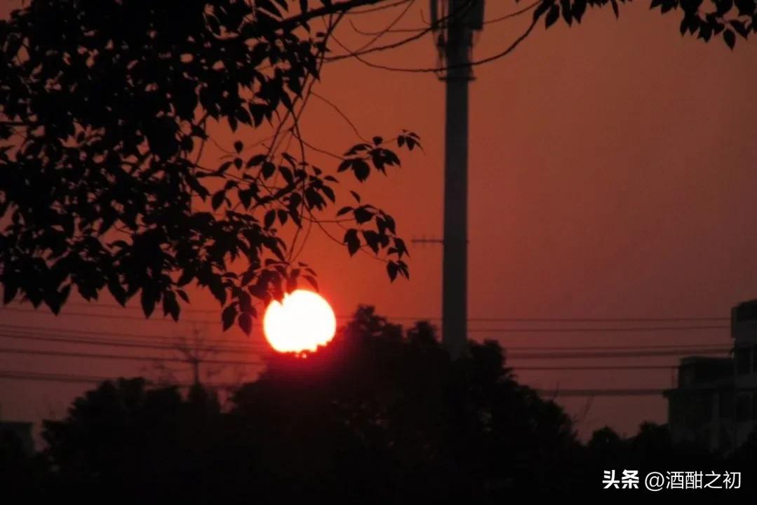 乡村奇闻:扯淡