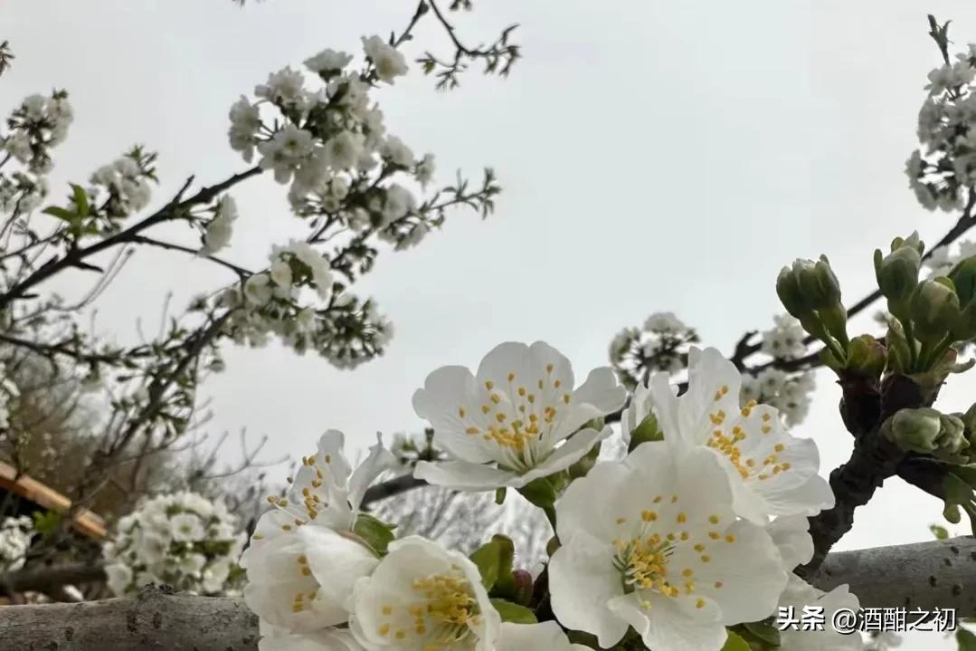 乡村奇闻:扯淡