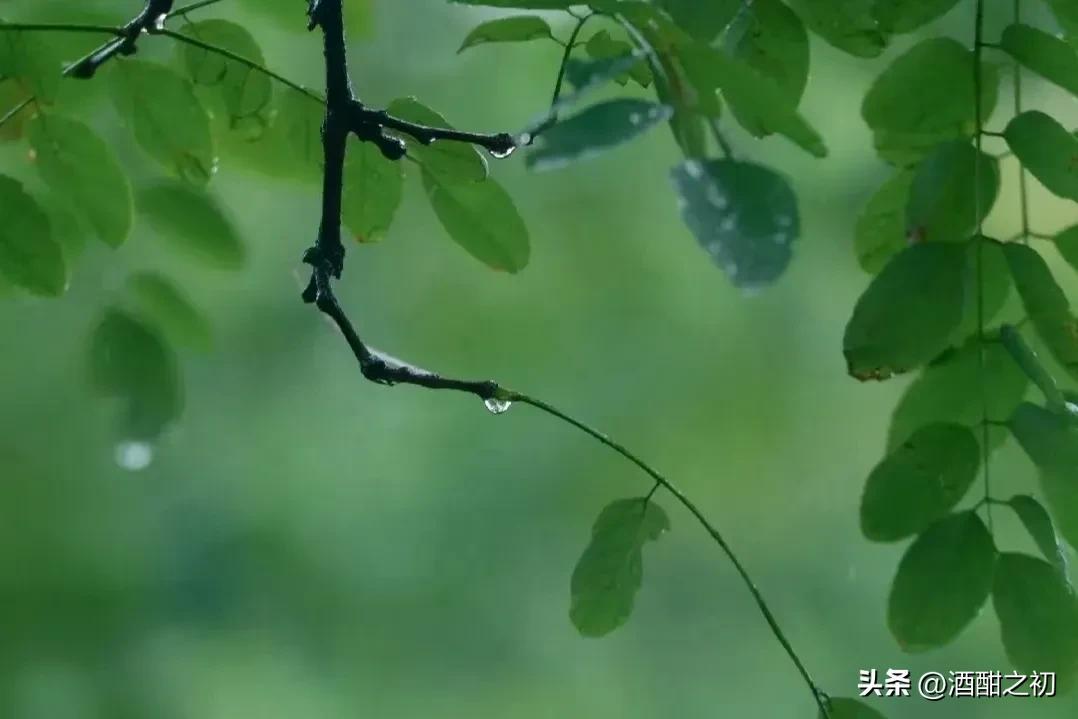 乡村奇闻:扯淡