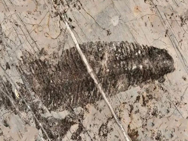 地下世界究竟如何？深入地下10000米，人类在地球深处发现了啥？